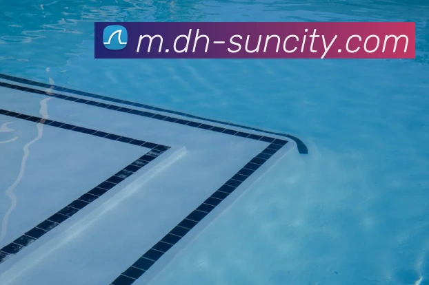 App Interface Preview